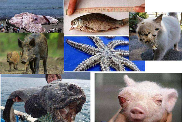 �ж�ŵ�����¼�ʳ���� �ж�ŵ�������������ж��