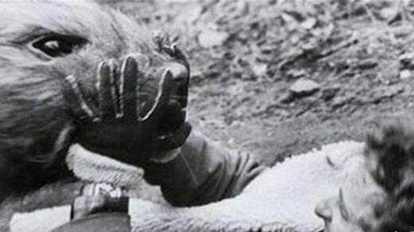 �ж�ŵ�����¼�ʳ���� �ж�ŵ�������������ж��