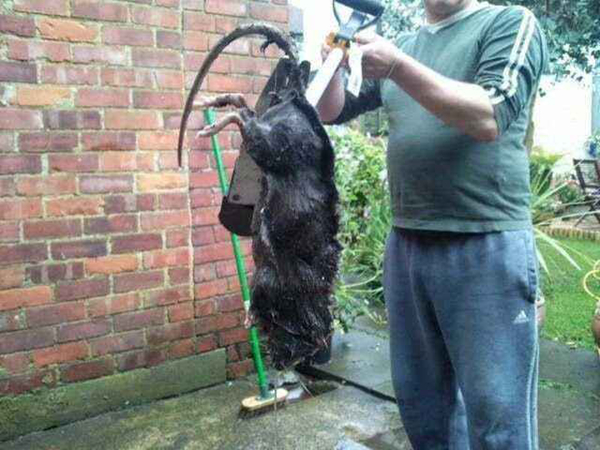 �ж�ŵ�����¼�ʳ���� �ж�ŵ�������������ж��