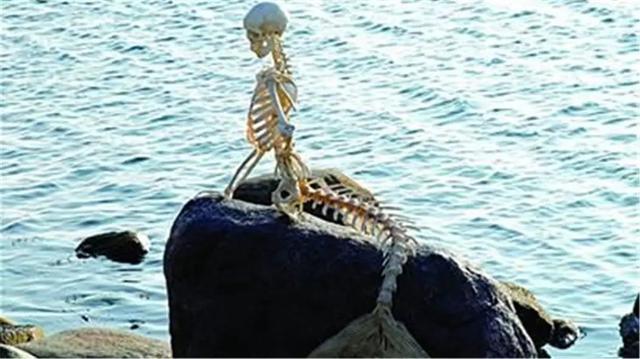 ��������Ĵ����� �ܹ�֤���������ʵ��֤��