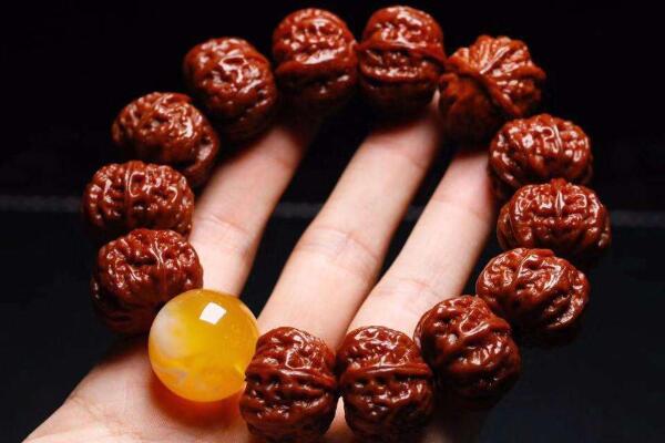 ����һ����������Ļ���ɶ��˼ ����Ȧ�Ľ��ɵ���ָ����ʲô