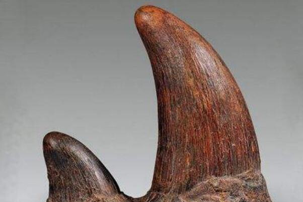 ����һ����������Ļ���ɶ��˼ ����Ȧ�Ľ��ɵ���ָ����ʲô