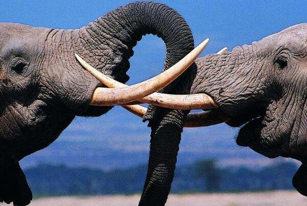 ����һ����������Ļ���ɶ��˼ ����Ȧ�Ľ��ɵ���ָ����ʲô