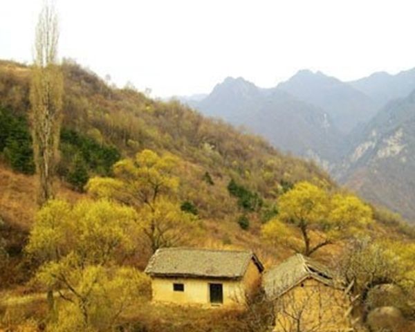 �����¼���ʵ������ȫ ������Ź���15��