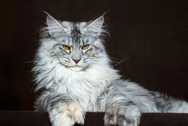 ��ô�ü�����û������ �����һ�����û����İ취