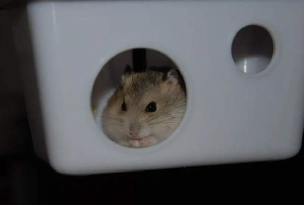 ��ô�ü�����û������ �����һ�����û����İ취