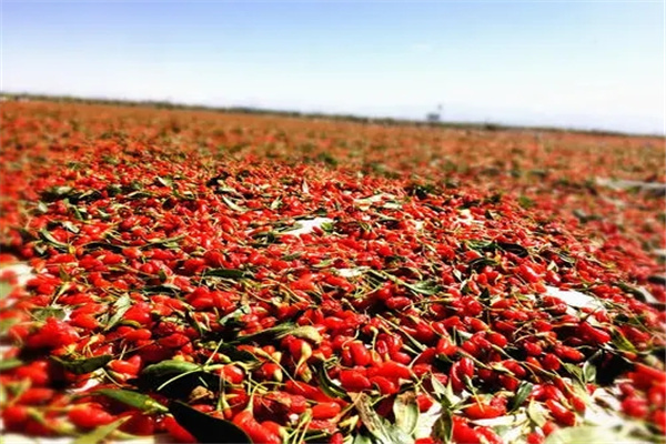 ���ǳ�˵���ຣ�����ĸ�ʡ ���ǳ������й���һ��ʡ