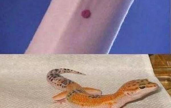 �ع�ɰ���ĸ�λ��ͼƬ���ֱ�ʲôλ�� ��Ϊʲô����ͬ������ʧ