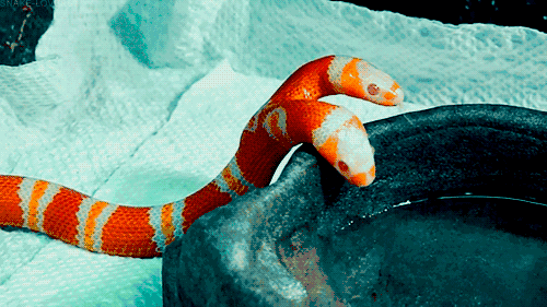 ӡ����ͷ����ʵͼƬ�ж���� ��ͷ����Ĵ�����