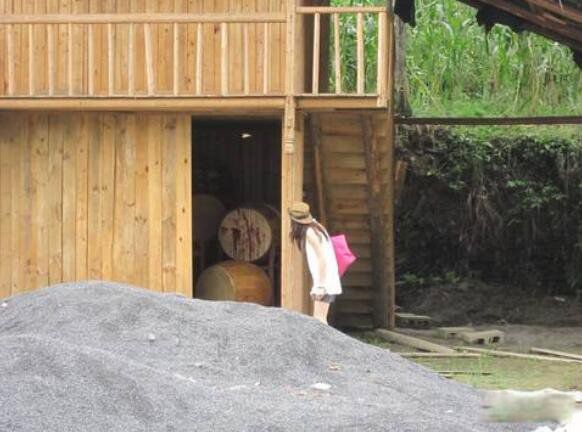 苗疆蛊术是真的存在吗 一个苗女所知道的真实的蛊