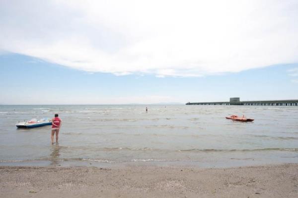 ���ľƵ����ļ� ���������õľƵ�����