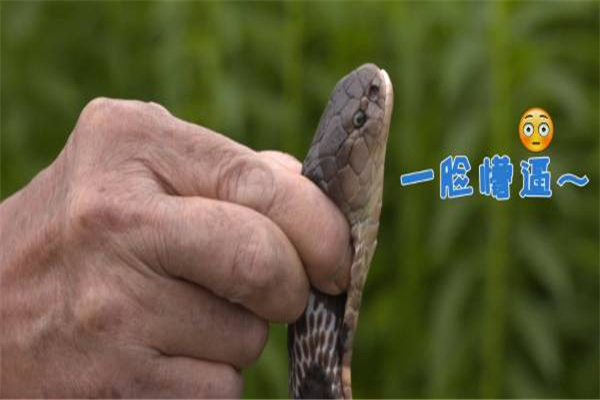 �ߵ��ߴ����� �ߴ�ָ�����ߵ��ĸ���λ