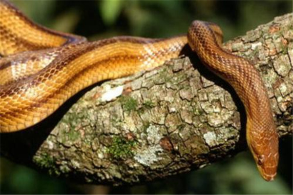 �ߵ��ߴ����� �ߴ�ָ�����ߵ��ĸ���λ