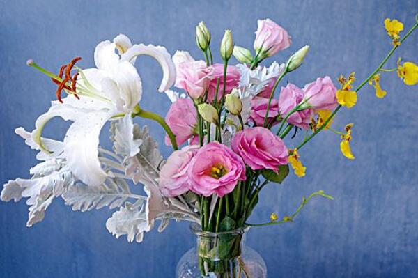 ��۹����Ļ����Ԣ����ʲô ����ʲô��