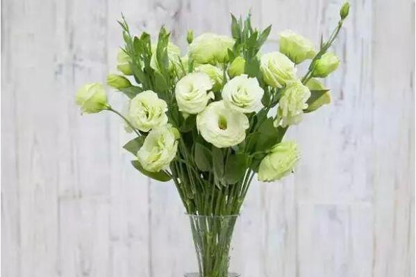 ��۹����Ļ����Ԣ����ʲô ����ʲô��