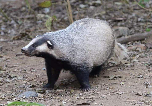 ����������Ķ����ɶ �����ڹ�����ʲô����