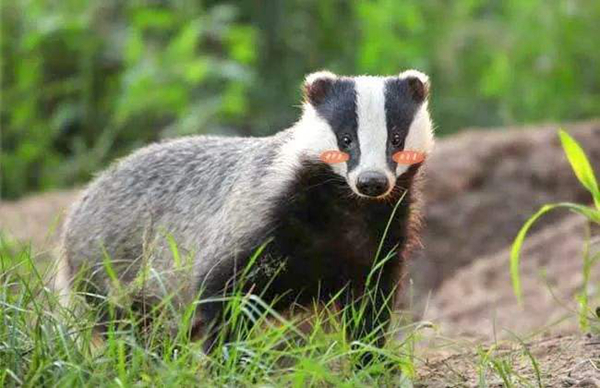 ����������Ķ����ɶ �����ڹ�����ʲô����