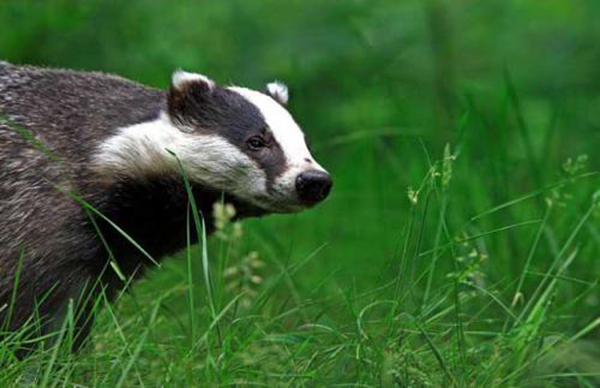 ����������Ķ����ɶ �����ڹ�����ʲô����