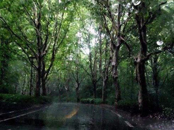 ��������¼���ʵ���� �̵����ʮ�����ؿֲ�֮��