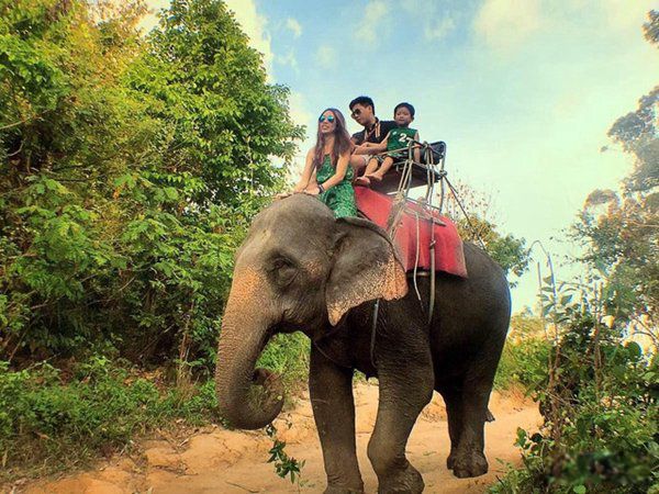 ��ǿ½�ض���ս�������� ʮ��������ǿ�������а�