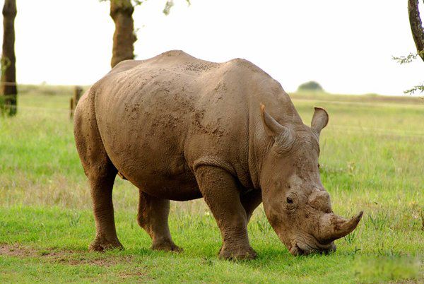 ��ǿ½�ض���ս�������� ʮ��������ǿ�������а�