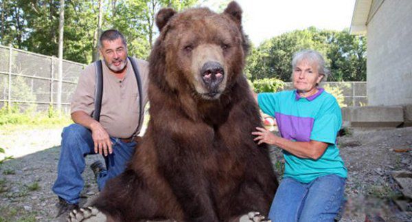 ��ǿ½�ض���ս�������� ʮ��������ǿ�������а�