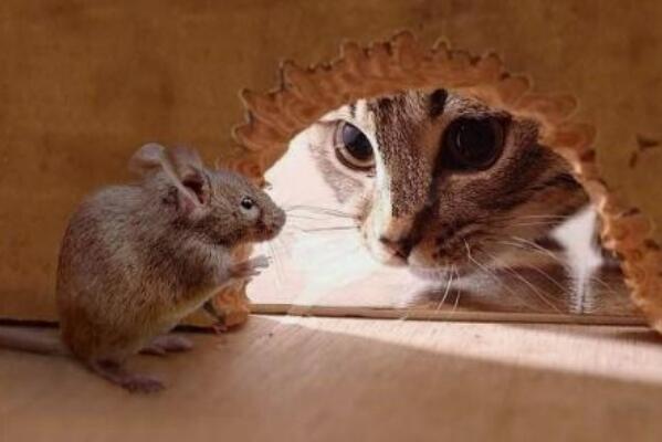 ��֨�������������� ������֨����ʲô��