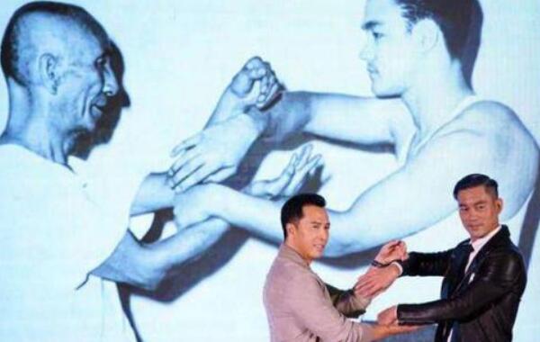 Ҷ�ʺ���С���� ΪʲôҶ����޵�����С��