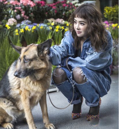 �������ʮ����� �й������ĸ�������ǰʮ��