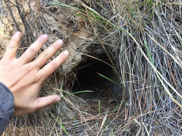 ����������Ķ����ɶ �����ڹ�����ʲô����