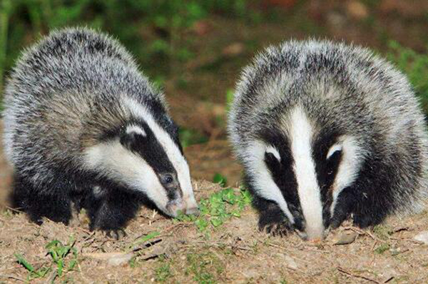 ����������Ķ����ɶ �����ڹ�����ʲô����