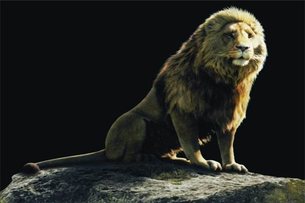 �������ʨ������Щ �̵�ʷ����ǿ��ʮ��ʨ��