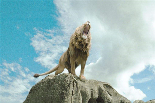 �������ʨ������Щ �̵�ʷ����ǿ��ʮ��ʨ��