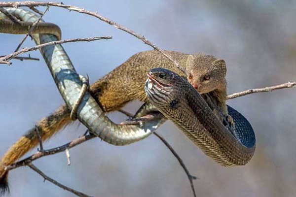 �����ߵ������˭ ��������ʲô����ͼƬ