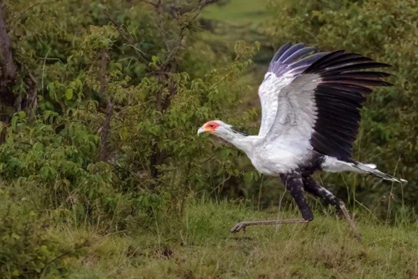 �����ߵ������˭ ��������ʲô����ͼƬ