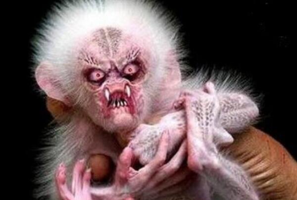 ������ˮ������ʲô���� ��û��ˮ�������ֶ���