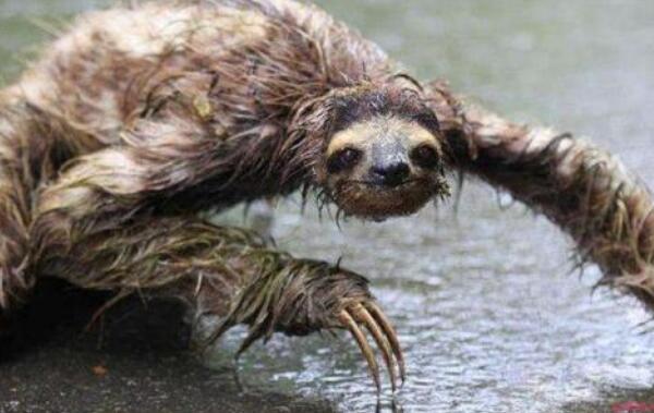 ������ˮ������ʲô���� ��û��ˮ�������ֶ���