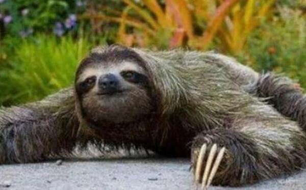 ������ˮ������ʲô���� ��û��ˮ�������ֶ���