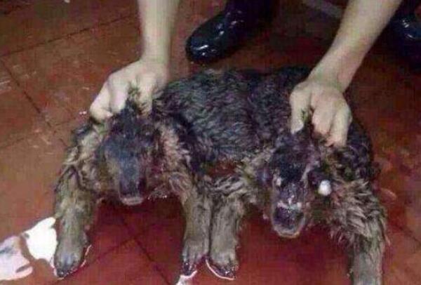 ������ˮ������ʲô���� ��û��ˮ�������ֶ���