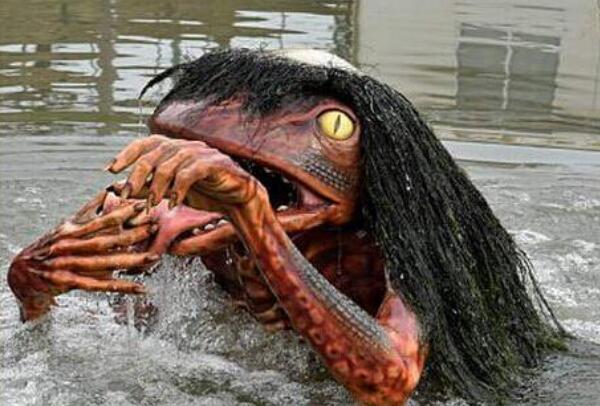 ������ˮ������ʲô���� ��û��ˮ�������ֶ���