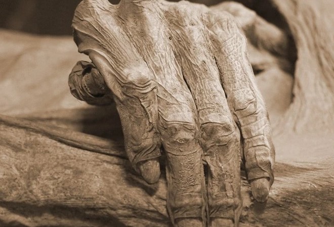 ��һ�߻���ľ������ô���� �и�ľ��������ô�γɵ�