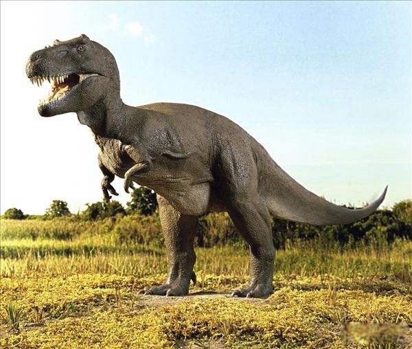 迅猛龙和霸王龙谁最厉害 迅猛龙和霸王龙有什么区别