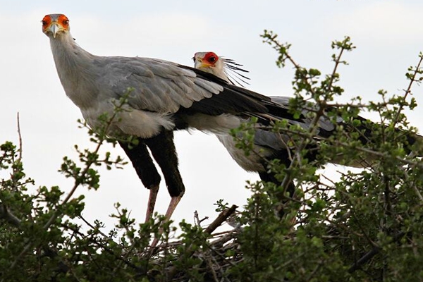 �����ߵ������˭ ��������ʲô����ͼƬ