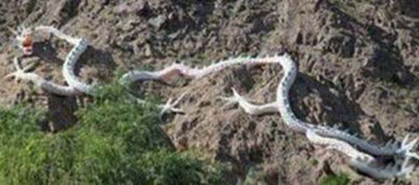 ��Ͽ�Ƕ��Ĵ��������� ˮ���ˮ��Ͽ����һ����������