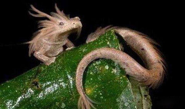 ��Ͽ�Ƕ��Ĵ��������� ˮ���ˮ��Ͽ����һ����������