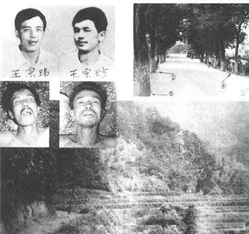 �������а�ǰʮ��ս���� �������е�һ����˭