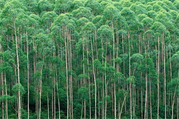 �������������ж�� ������������������ߵ�����