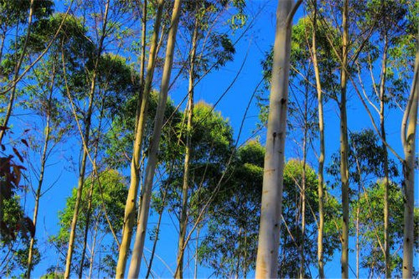 �������������ж�� ������������������ߵ�����