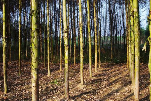 �������������ж�� ������������������ߵ�����