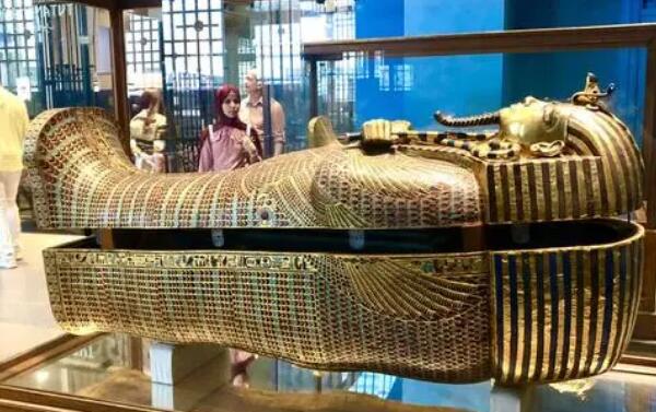 ͼ̹���ɼ�鳤ɶ�� �Ű���ͼ̹���ɻƽ����ͼƬ